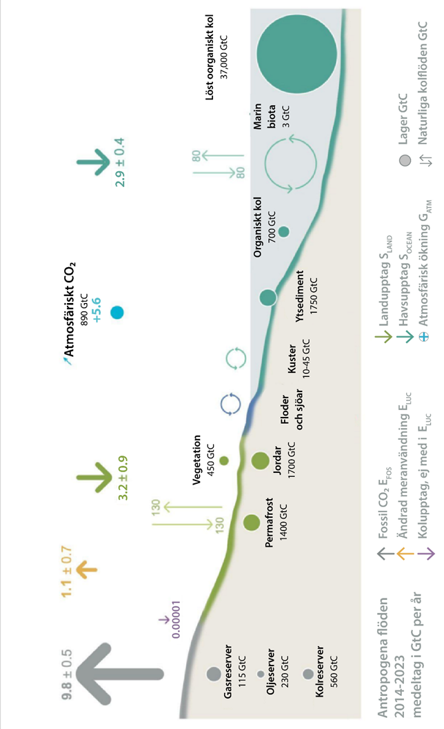 En bild som visar text, skärmbild, diagram, Teckensnitt
AI-genererat innehåll kan vara felaktigt.